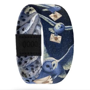 ZOX "ACCEPTED" HARRY POTTER INTERACTIVE MAGIC POSITIVE AFFIRMATIONS WRISTBAND